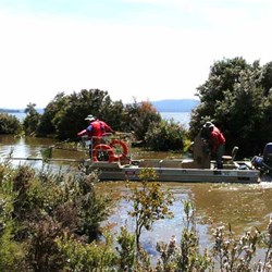 Lake Sorrel - eradicating the carp