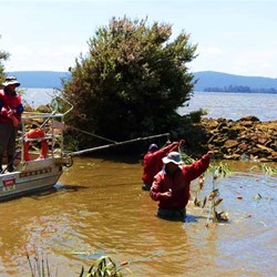 A massive clean up job