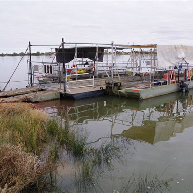 Cooper Creek Ferry August 2011