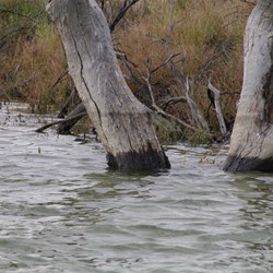 This years water level was around 400mm less that last year