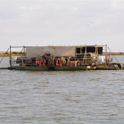 Passing the Ferry while on the cruise
