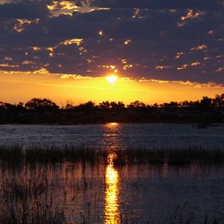 Our first sunset back at the Cooper