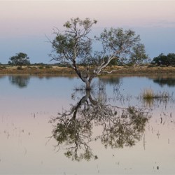 Sunrise next morning