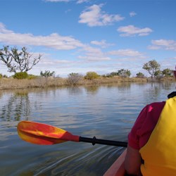 Kayaking on the Cooper