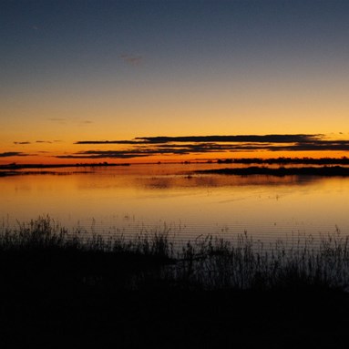 Ever changing colours on the Cooper