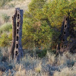 No power tools when they made these over 100 years ago