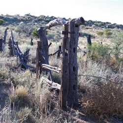 Our return visit next morning