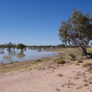 On our way back to Ruwolts Bore - cross country style