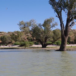 On Eyre Creek