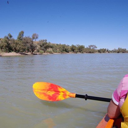 Kayaking on Eyre Creek