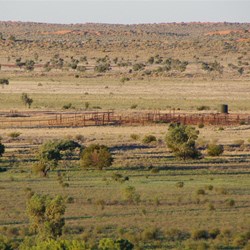 Looking back to Ruwolts Bore cattle yards