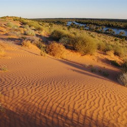 The setting sun changing the colours of the dunes