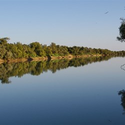 Can it get any better that this from our camp