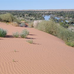 From the top of the dune next morning