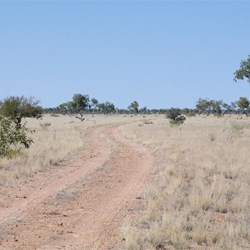 Track condition on the Eyre Creek Flood detour track
