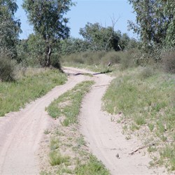 Eyre Creek Flood detour track