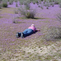 Fiona trying for that perfect picture