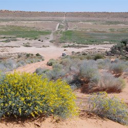 Looking west from Big Red