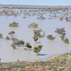 There was more water than 2010