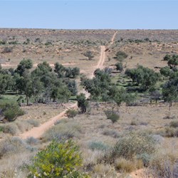 The Eyre Creek Flood Plain is extensive