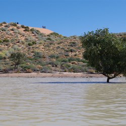 Big Red from Lake Nappanerica