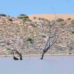 Nearing the other side