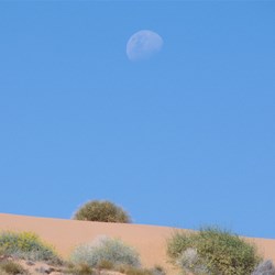 Moon rising over the Simpson Dunes