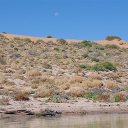 It looked great from the water