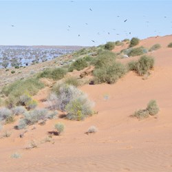 All the black dots in the sky are Kites