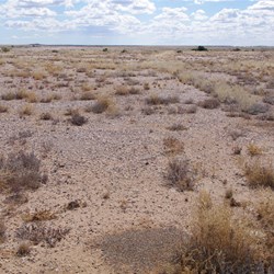 Aboriginal Burial Grounds