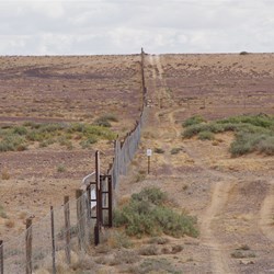 The Dog or Dingo Fence is the Longest fence in the World