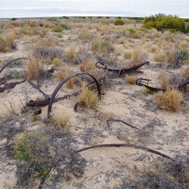 Remains of old buggy - it could tell a story or two