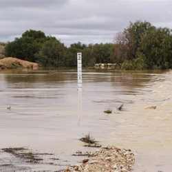 Flooded Derwent Creek from 3 inches of rain