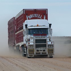 The Birdsville Track is still an important modern day stock route