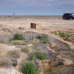 Near boiling water enters the cooling pond