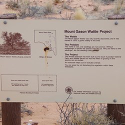 Next stop the Mt Gason Wattle Project