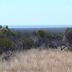 Lake Wyara from lookout