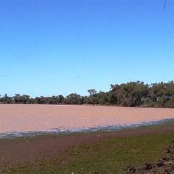 Lake Houdraman near Quilpie