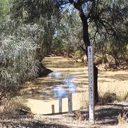 Flood markers on the Bulloo River near town