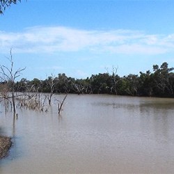 The Warrego at Cunnamulla