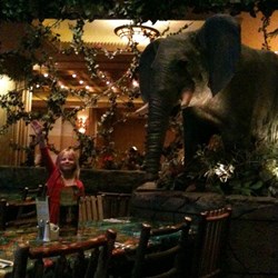 Rainforest Cafe