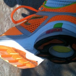 Testing strike on new Newtons