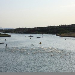 My view of swim starts