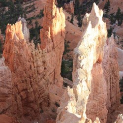 Views of Hoodoos at Bryce Canyon