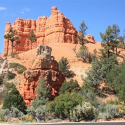 Roadside views at Red Rock Canyon
