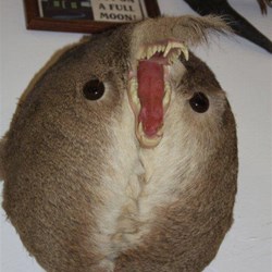 Hilarious - enlarge and work it out yourself