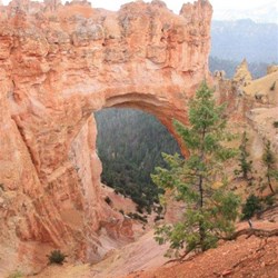 Views of Hoodoos at Bryce Canyon