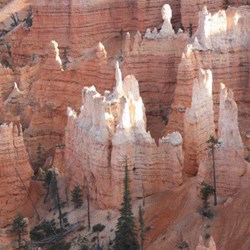 Views of Hoodoos at Bryce Canyon