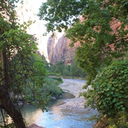 Riverside walk with views of the Virgin River