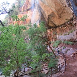 In the cool of Emerald pool walk